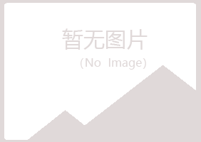 池州小珍会计有限公司